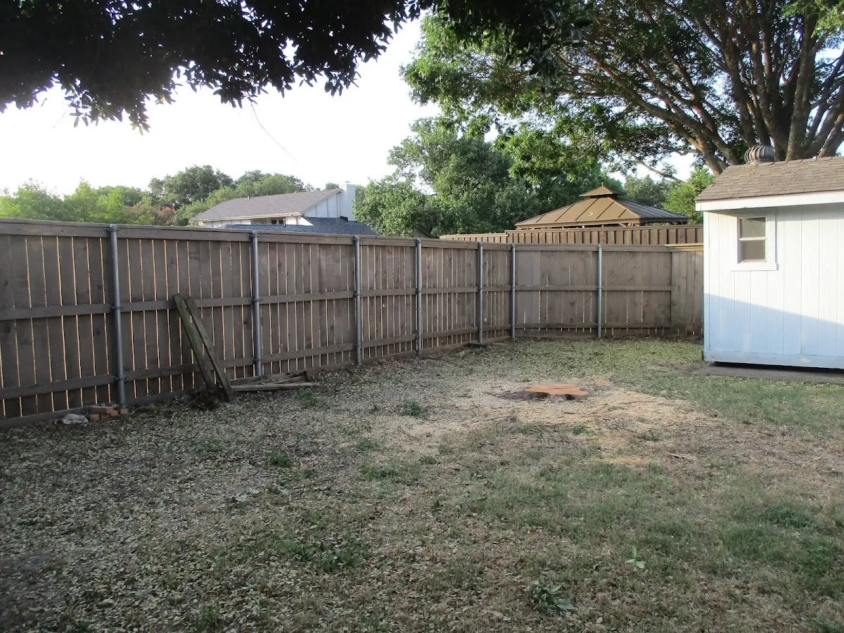 Cleared yard after professional tree removal in Francestown